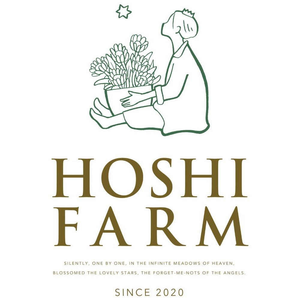 ホシファーム 届いた姿でそのまま飾れるスタンディング薔薇ブーケ スイート8本 eギフト