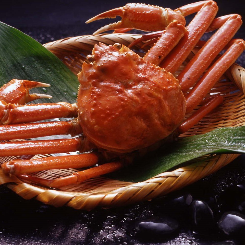 ボイルずわいがに姿 500g×3杯 ずわい蟹 送料無料 ずわいがに ３杯+甘エビ500gずわい蟹 姿身をボイル