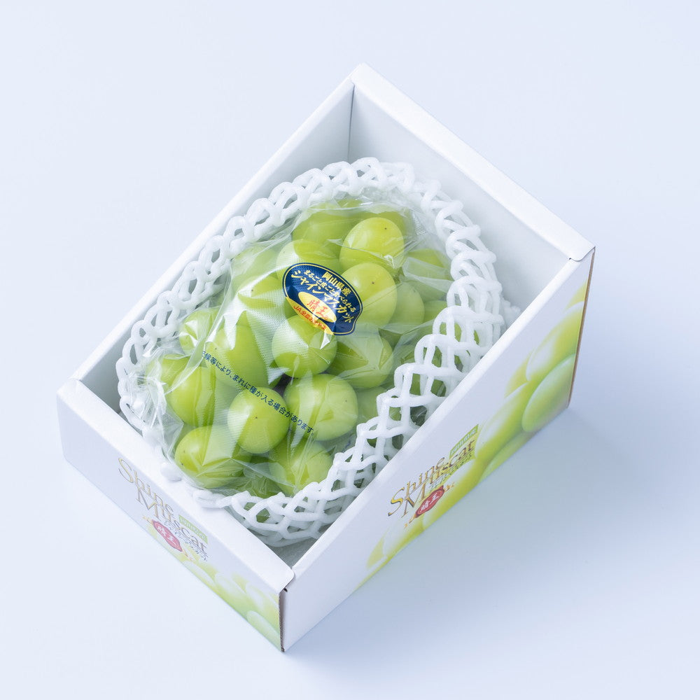 フルーツ専門店「南国フルーツ」がセレクト 旬のプレミアムフルーツ(単品) eギフト