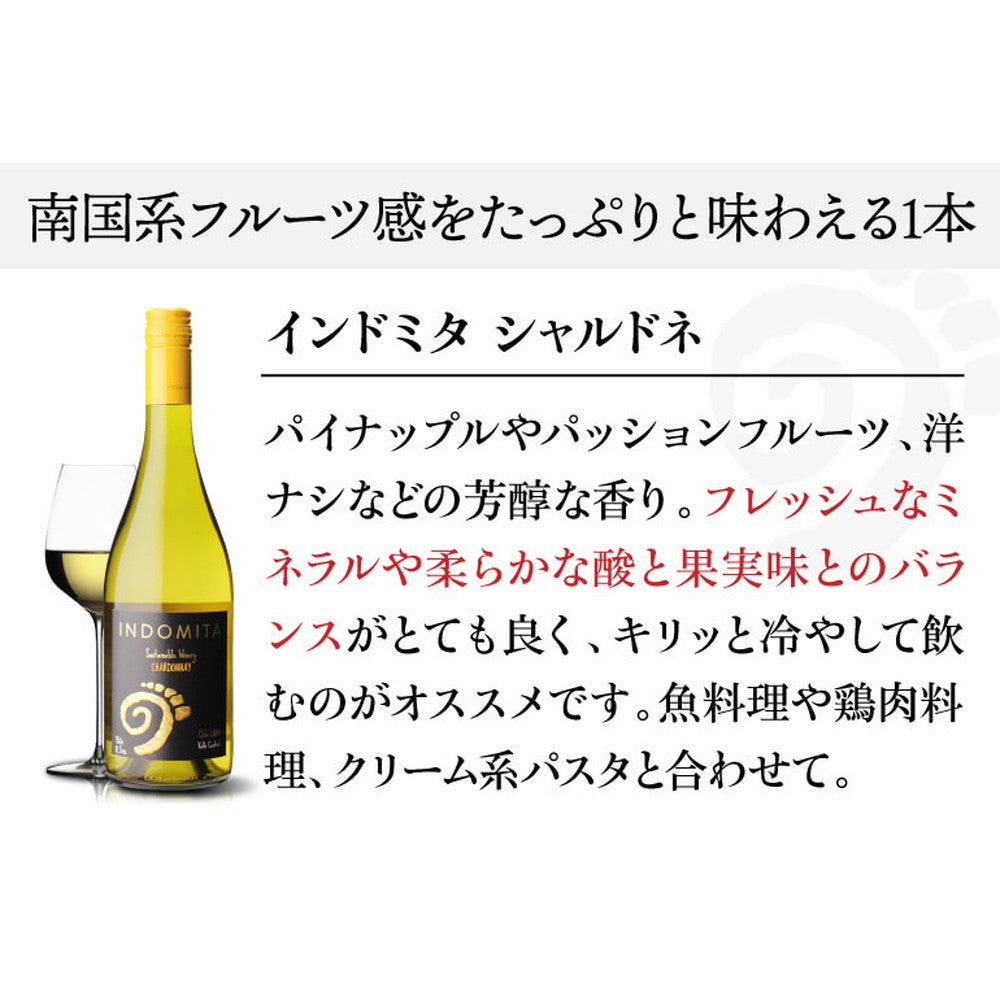 インドミタ バラエタル 4種のワイン12本【クール便】 eギフト