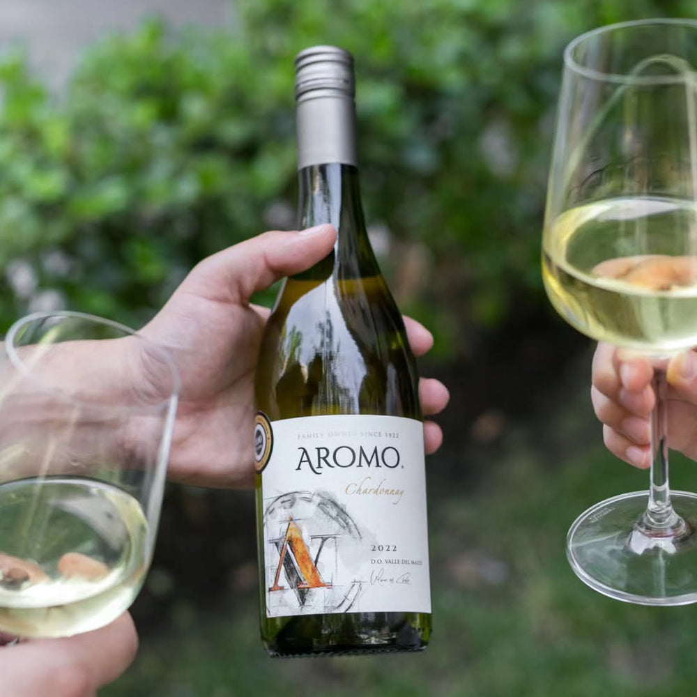 オリンピア　サインド　アーモリープロモ フーパ プロモ 光輪の超魔神 155 XY-P プロモ HP70 5枚セット 10点【未