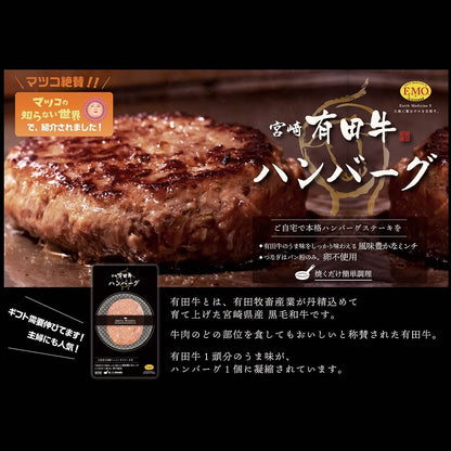 宮崎県産 有田牛 モモステーキ＆ハンバーグセット　eギフト