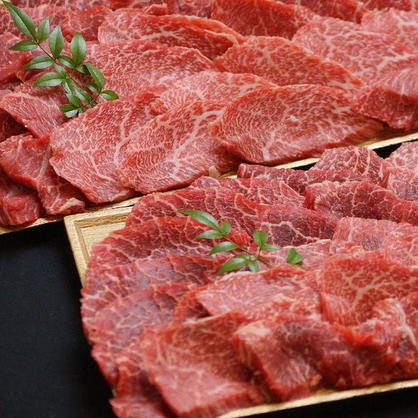 九州産 黒毛和牛おまかせ焼肉(500g)　eギフト