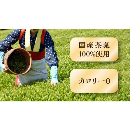 カテキン緑茶Ｗ PET350ml 24本　eギフト