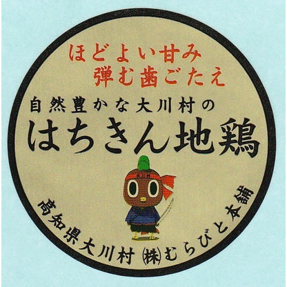 土佐はちきん地鶏 モモ炭焼用 ギフトカード