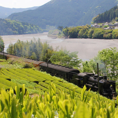 川根茶(緑茶)2袋セット ギフトカード