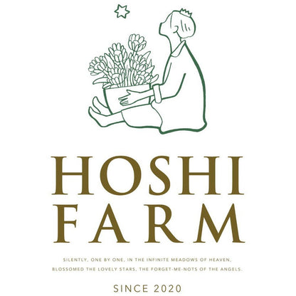 ホシファーム 届いた姿でそのまま飾れるスタンディング薔薇ブーケ ピュア12本　eギフト