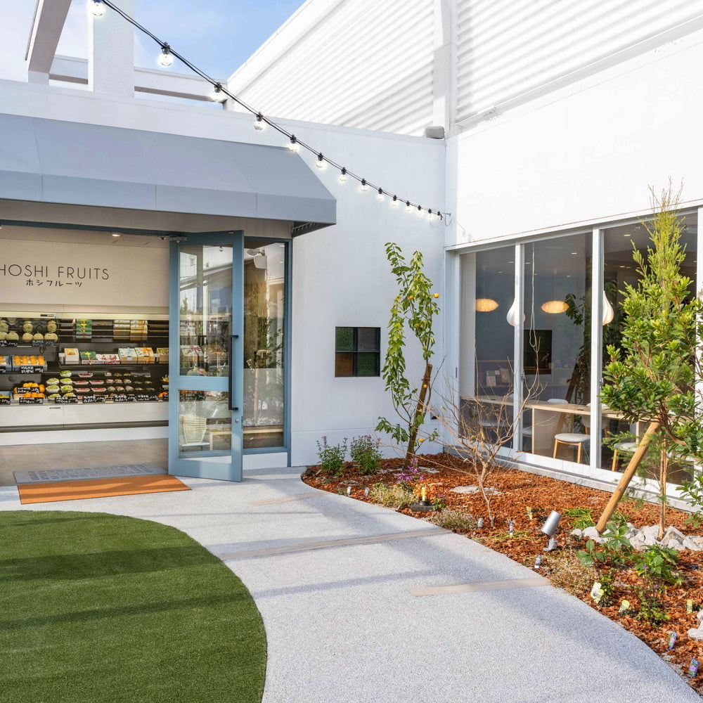 ホシフルーツ あまおうのクリームいちご大福 fuwaru 12個 ギフトカード