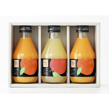 ホシフルーツ　にほんのご馳走果実ジュース 2種飲み比べ（3本）　eギフト