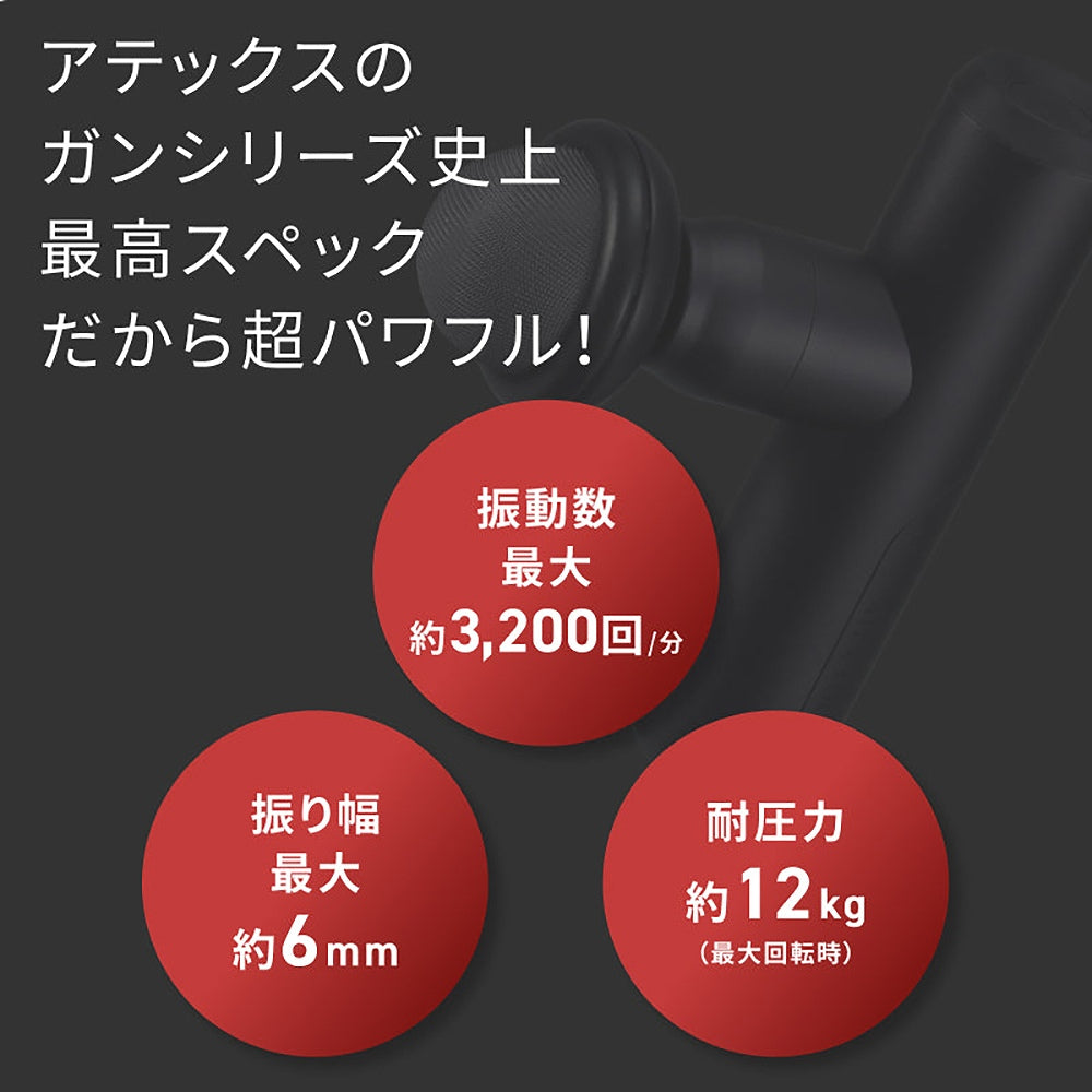 アテックスルルド　ルルドガン（レッド）　eギフト
