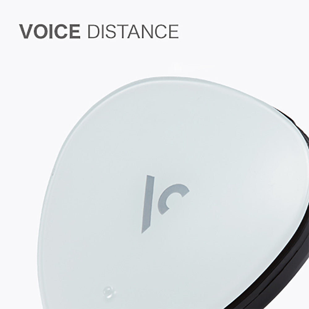 ボイスキャディ VOICE CADDIE VC300A　eギフト