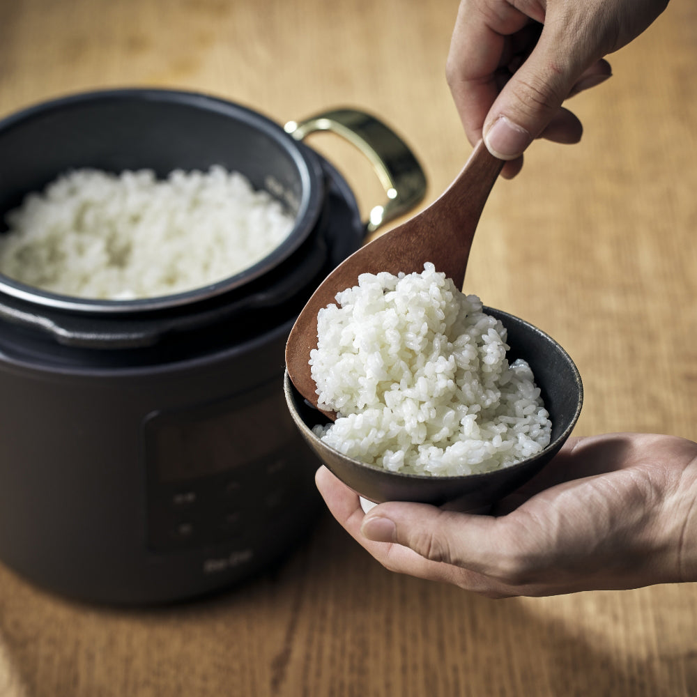 Re･De Pot 電気圧力鍋 2L ブラック ギフトカード
