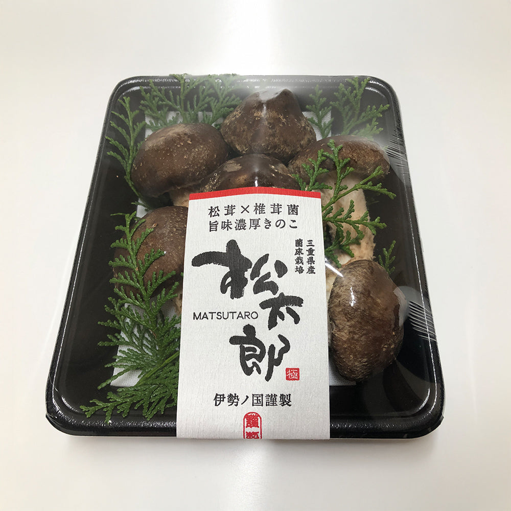 伊勢の国　松茸×椎茸菌 芳醇きのこ　松太郎 150g　eギフト