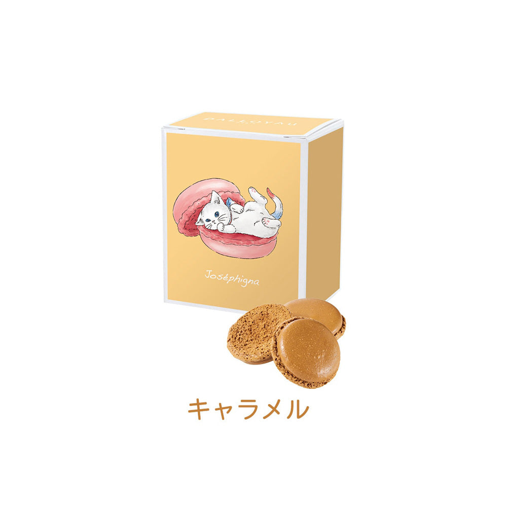 1802年パリ創業　ダロワイヨ　ニャカロンラスク 3個セットB　eギフト