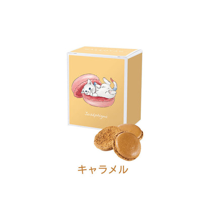 1802年パリ創業　ダロワイヨ　ニャカロンラスク 3個セットB　eギフト