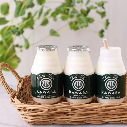 KAWABA(カワバ) 川場のむヨーグルト150ml 12本セット　eギフト