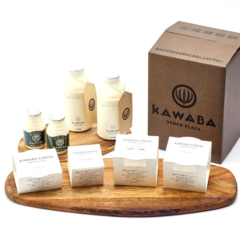 KAWABA(カワバ)チーズ4種食べ比べとヨーグルトセット　eギフト