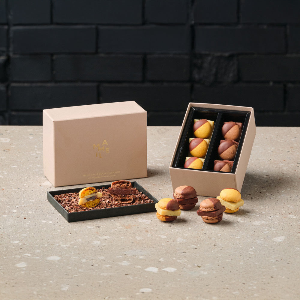 MAMEIL NAMA CHOCOLATE MACARON（生チョコレートマカロン