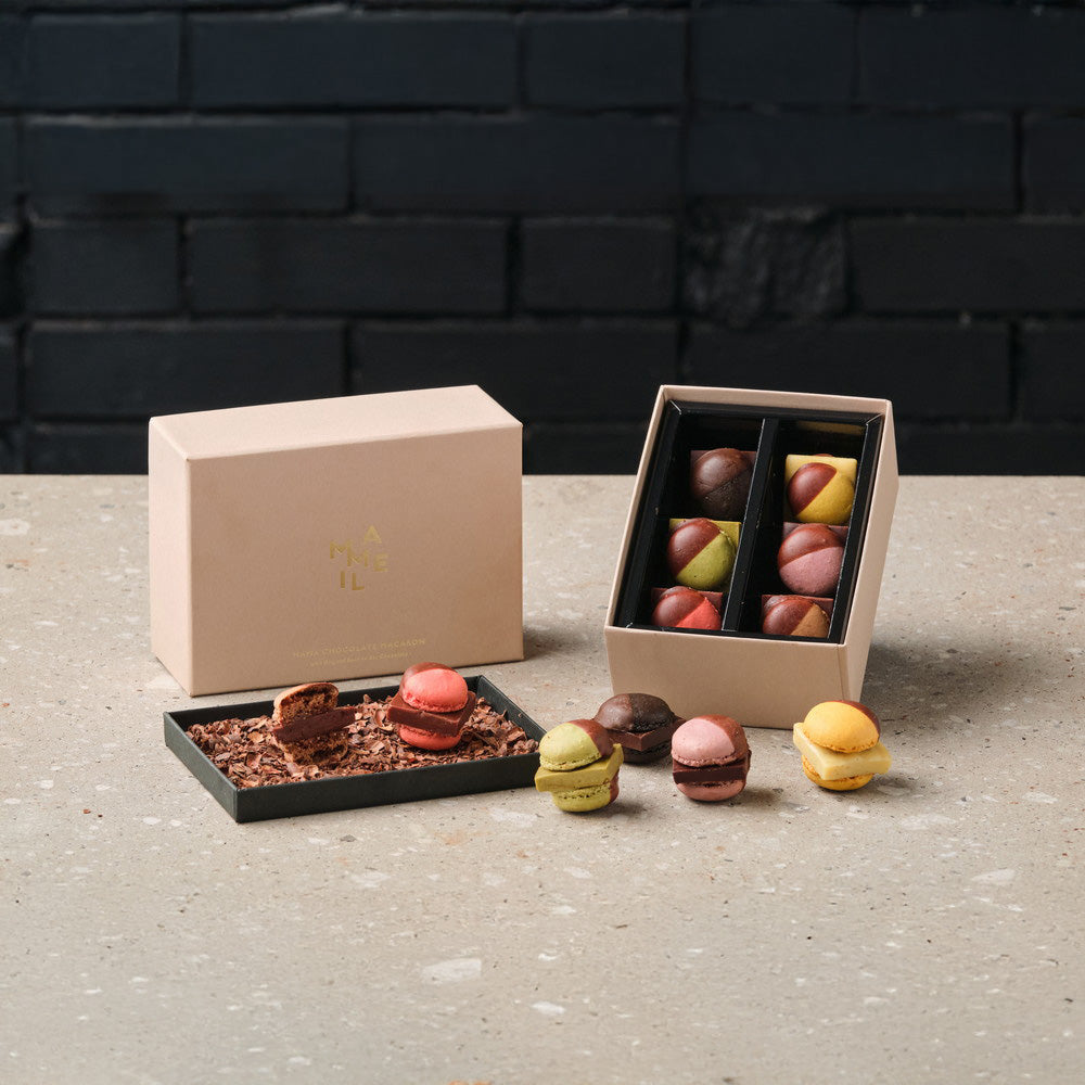 MAMEIL NAMA CHOCOLATE MACARON（生チョコレートマカロン）6種