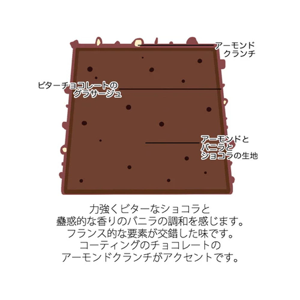 shodai bio nature(ショウダイ ビオ ナチュール)パウンドケイク グアナラショコラ