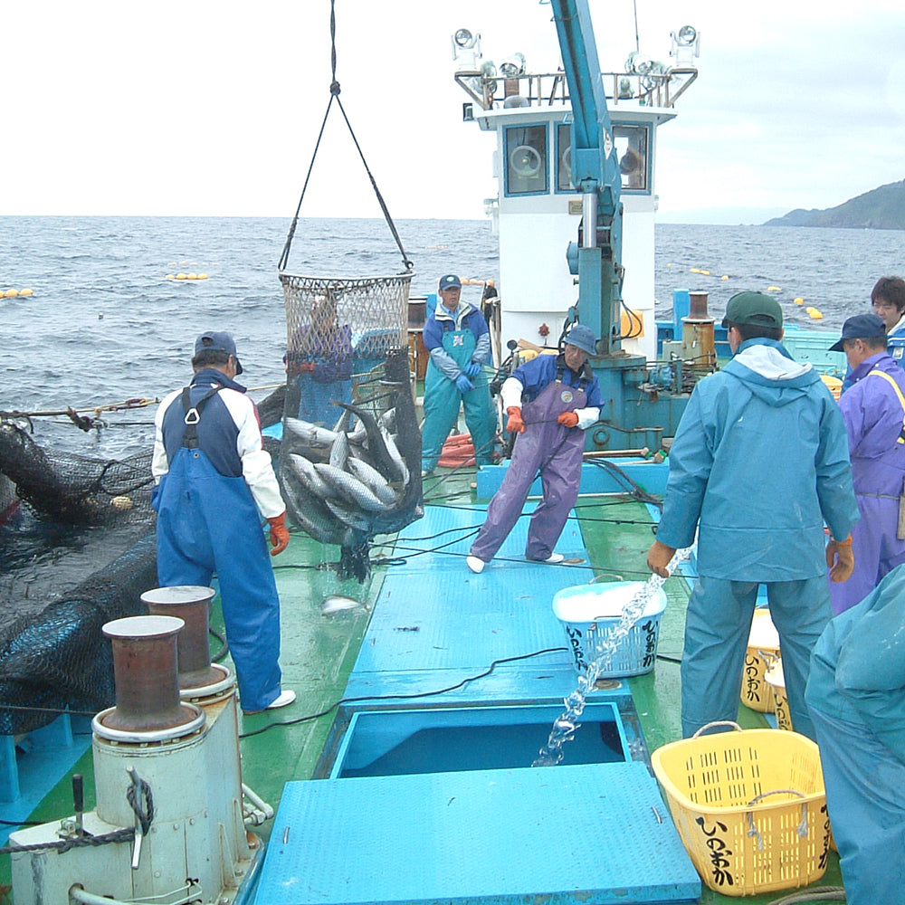 「金澤北珍肴の匠」のどぐろ鮮魚干しセット(真空1尾 x 2)　eギフト