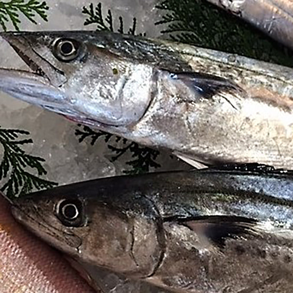 出水田鮮魚 干物セットA　eギフト