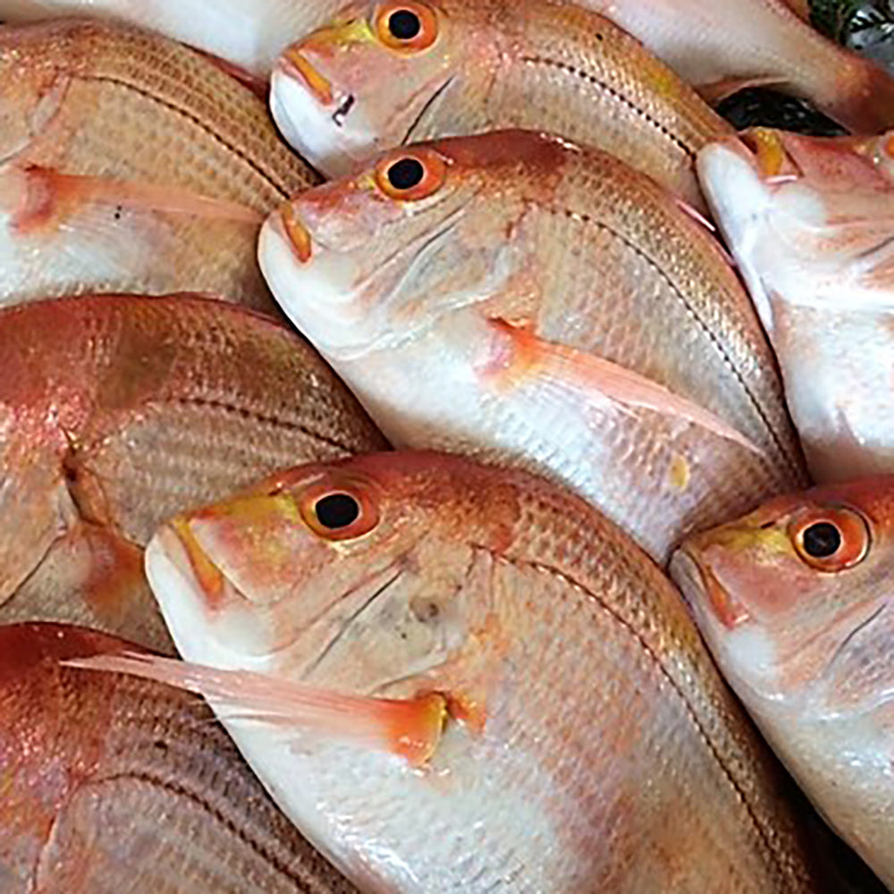 出水田鮮魚 干物セットB　eギフト