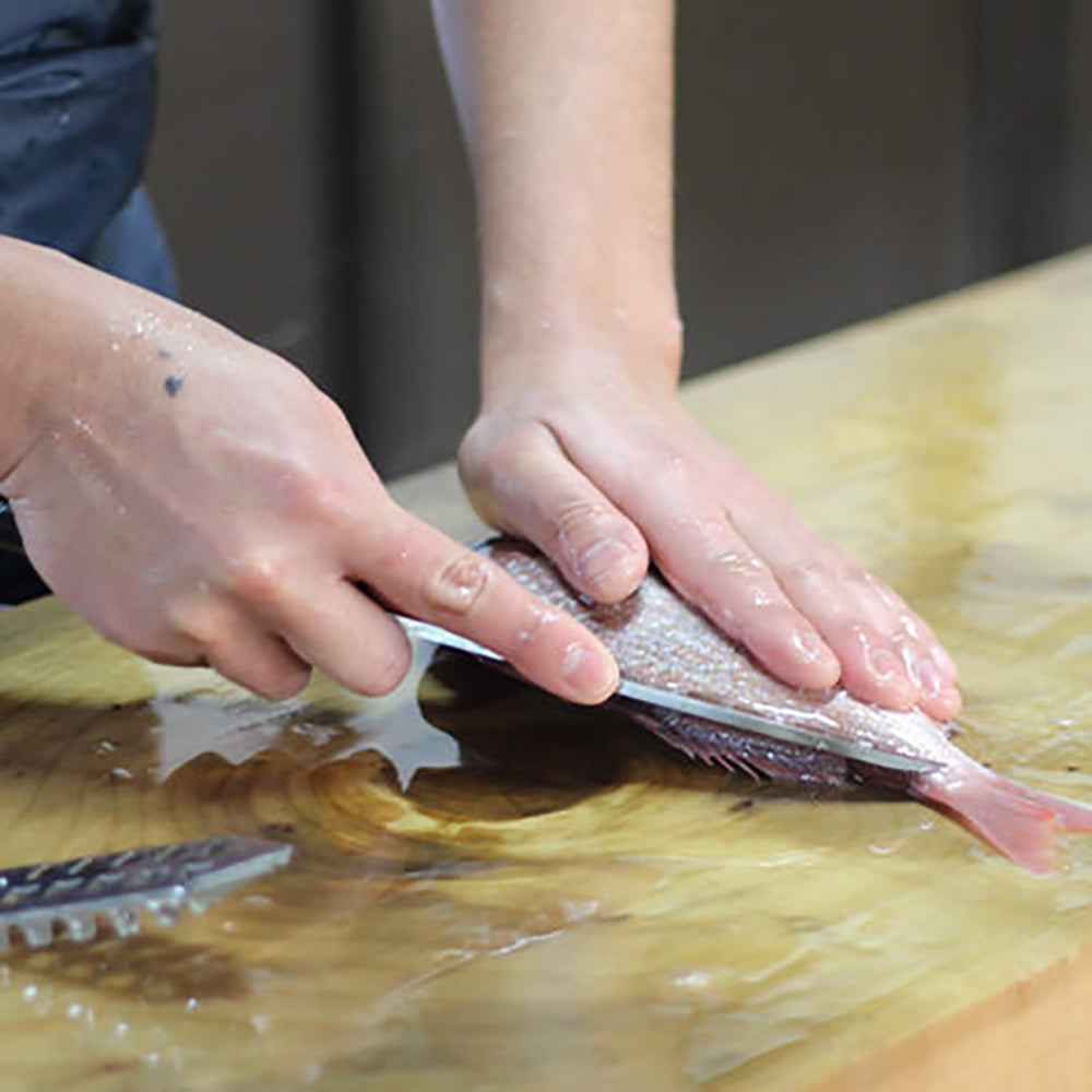 出水田鮮魚 干物セットB　eギフト