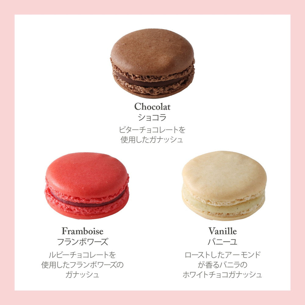 セバスチャン・ブイエ マカロン12個 – AOYAMA GIFT SALON