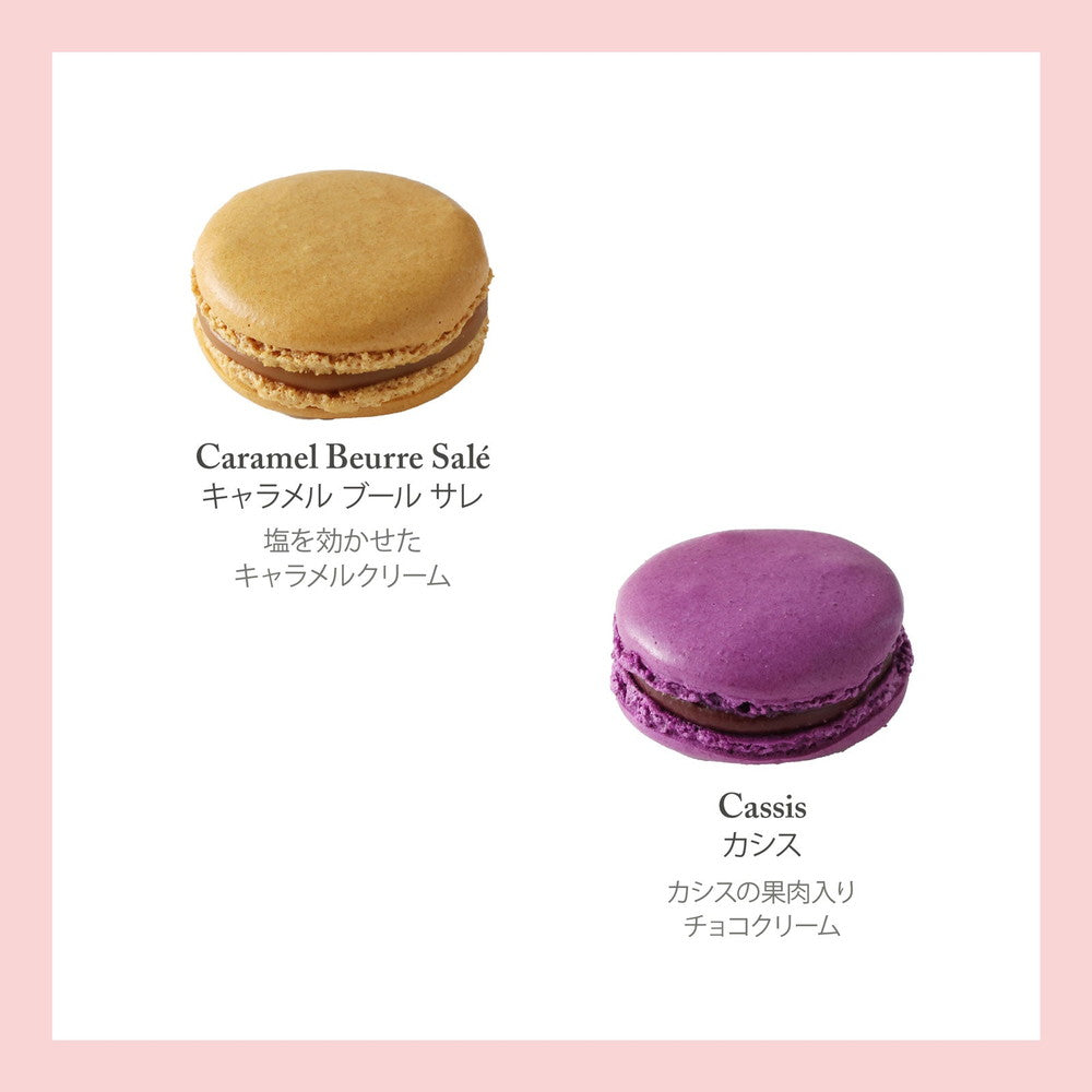 マカロン 初音ミク Exc∞d Creative Figure SweetSweetsーシトロン