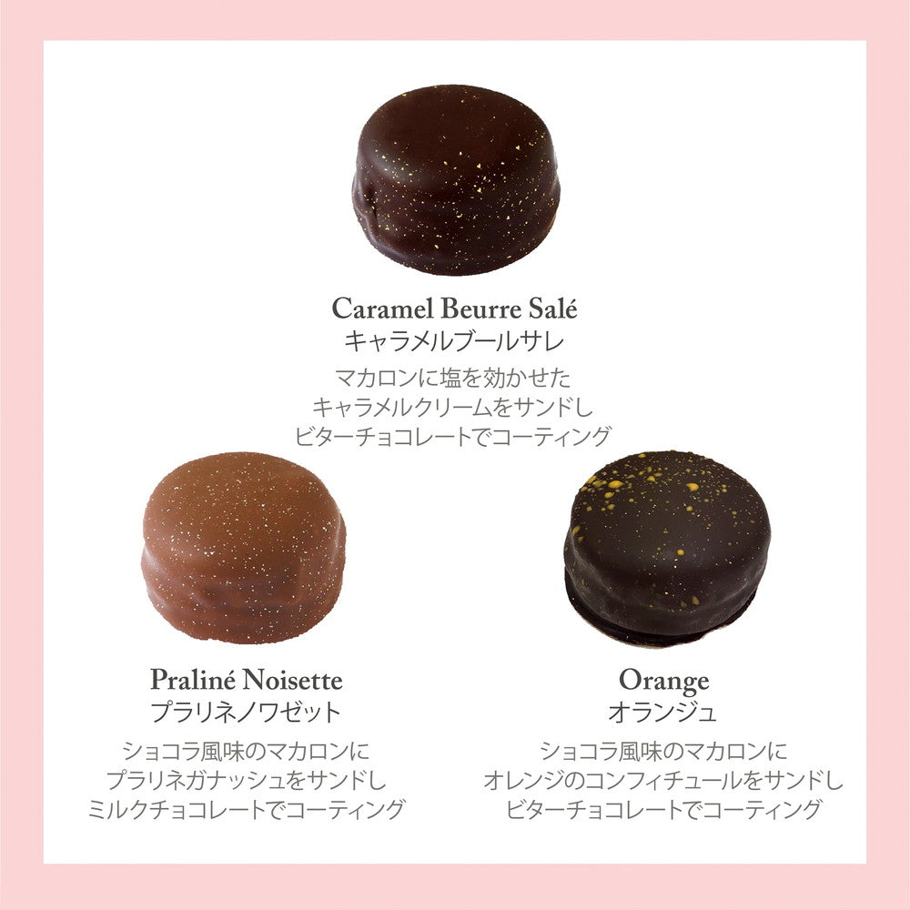 ギフトカード】セバスチャン・ブイエ マカリヨン 6個 – AOYAMA GIFT SALON