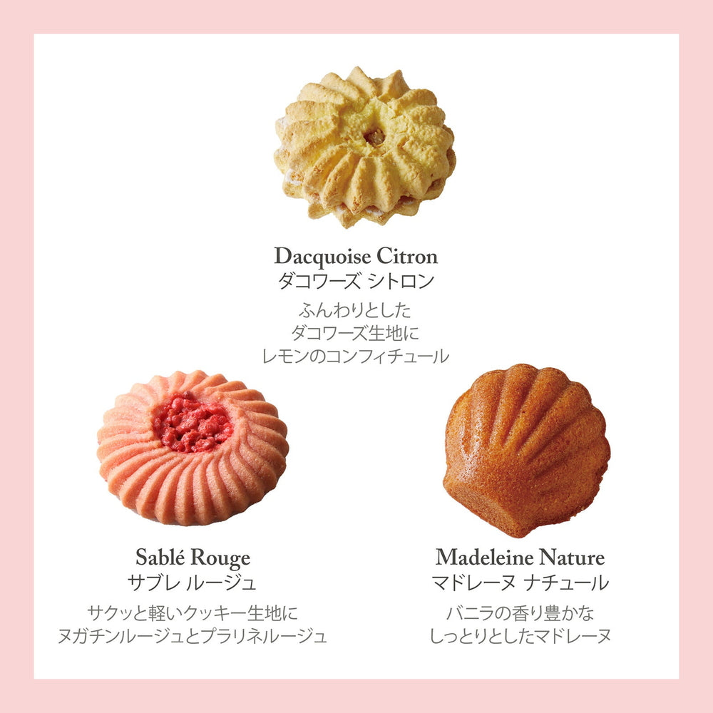 ギフトカード】セバスチャン・ブイエ アソートバリエ S ギフトカード