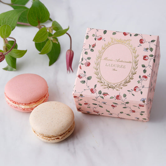 LADUREE（ラデュレ）マリー・アントワネット　eギフト
