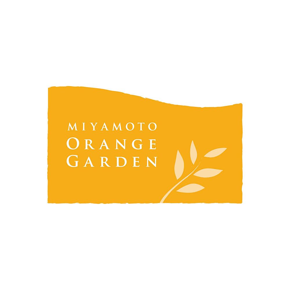 ミヤモトオレンジガーデン」みかん寒天ゼリー オールスター食べ比べ