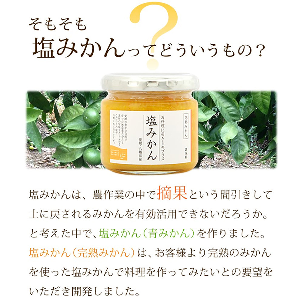 「ミヤモトオレンジガーデン」調味料 塩みかんギフトセット　eギフト