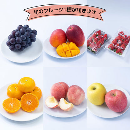 フルーツ専門店「南国フルーツ」がセレクト 旬のフルーツ(単品)　ギフトカード