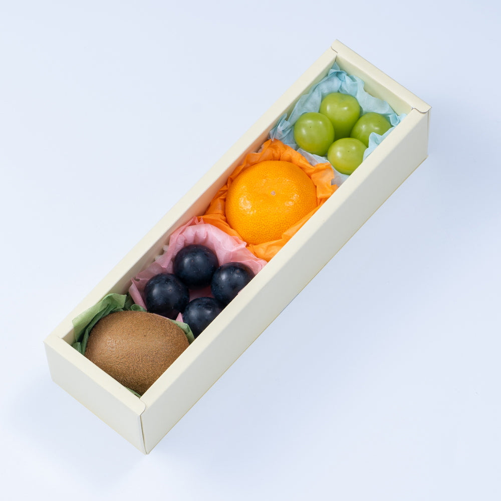果物 フルーツ　サンプル 6198+VwukUL._UF894,1000_QL80_.jpg