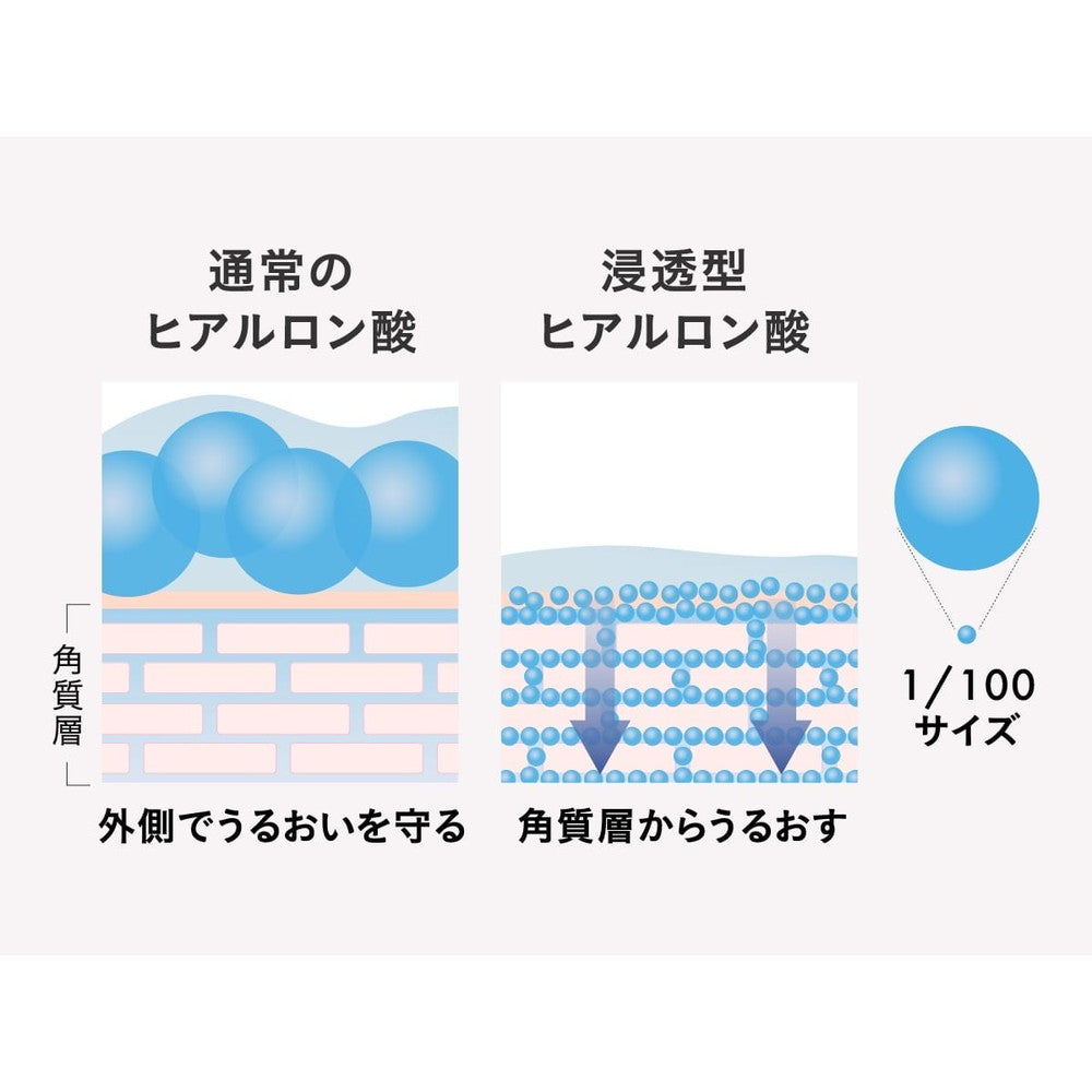 食べられるバラ農園 ROSE LABO 24ROSE ローズトリートメント　eギフト
