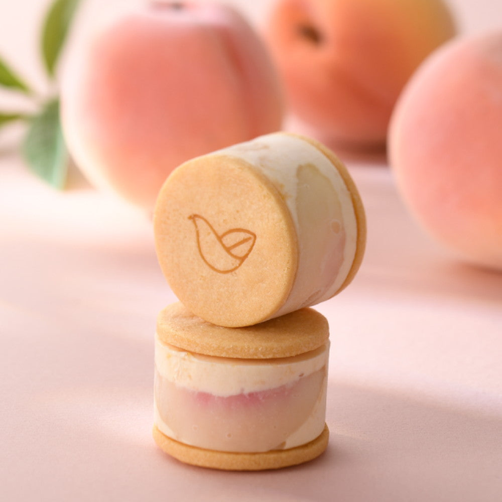 京都チーズケーキ専門店 ソラアオ　アイスチーズケーキサンド 3種計6個【1箱】　eギフト