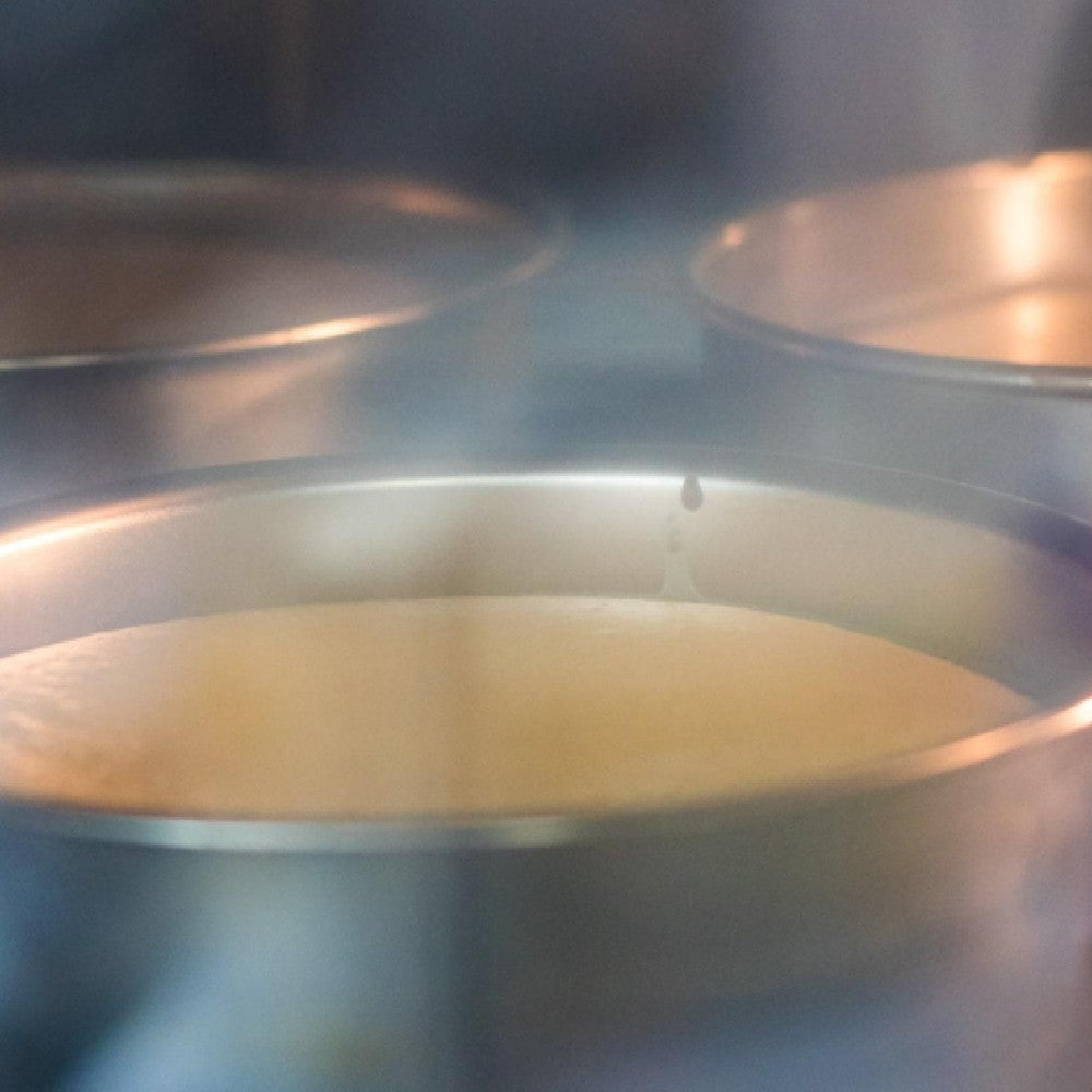 京都チーズケーキ専門店 ソラアオ　プレミアム　京都ブランドコラボ4種食べ比べ　封筒入り