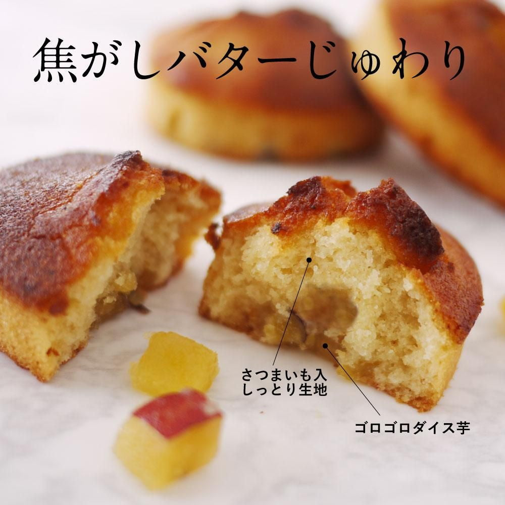 生スイートポテト専門店 「OIMO」　フィナンシェ&テリーヌ10個