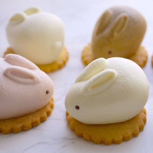 MOTCH うさもっち 6個ボックス　eギフト