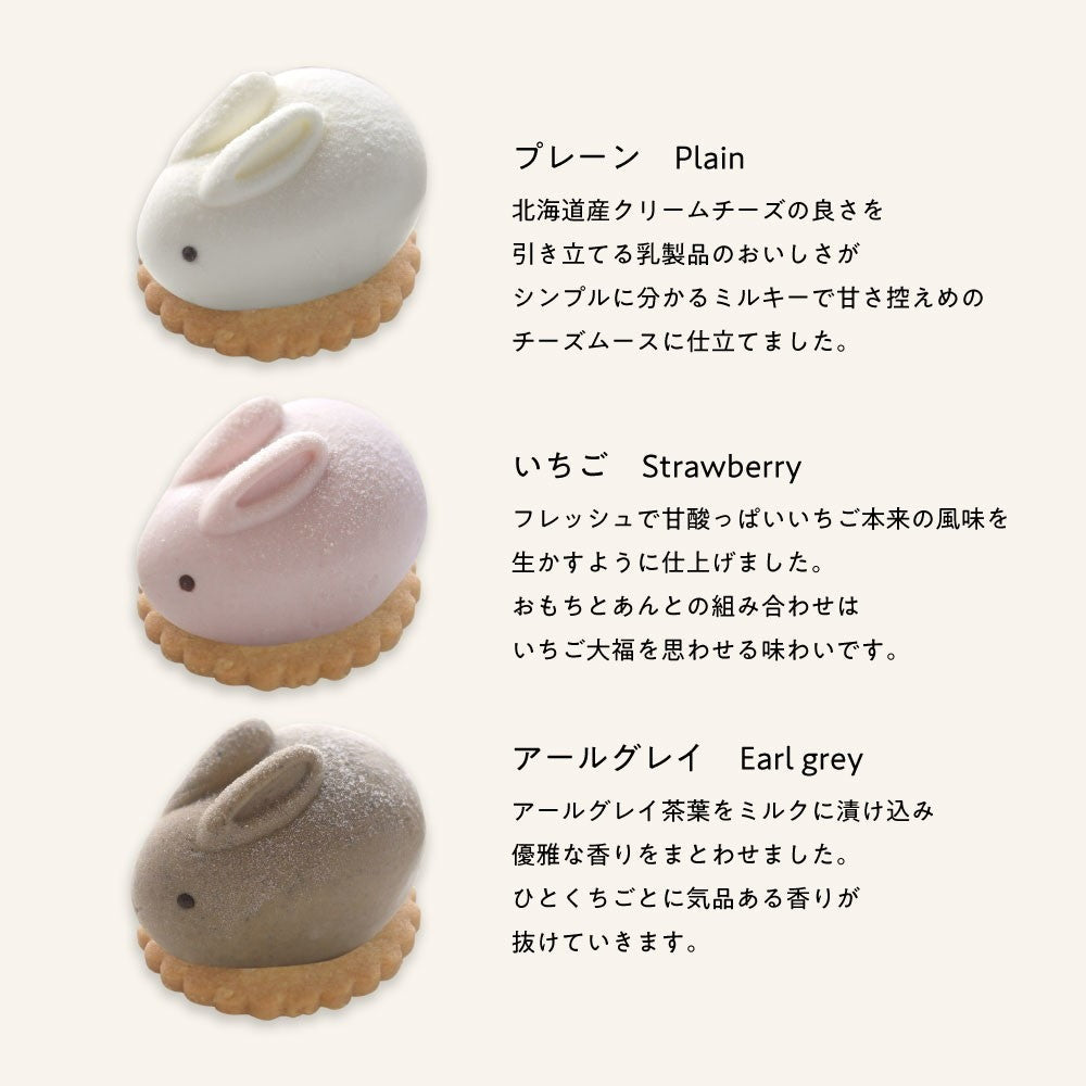 MOTCH うさもっち 6個ボックス　eギフト