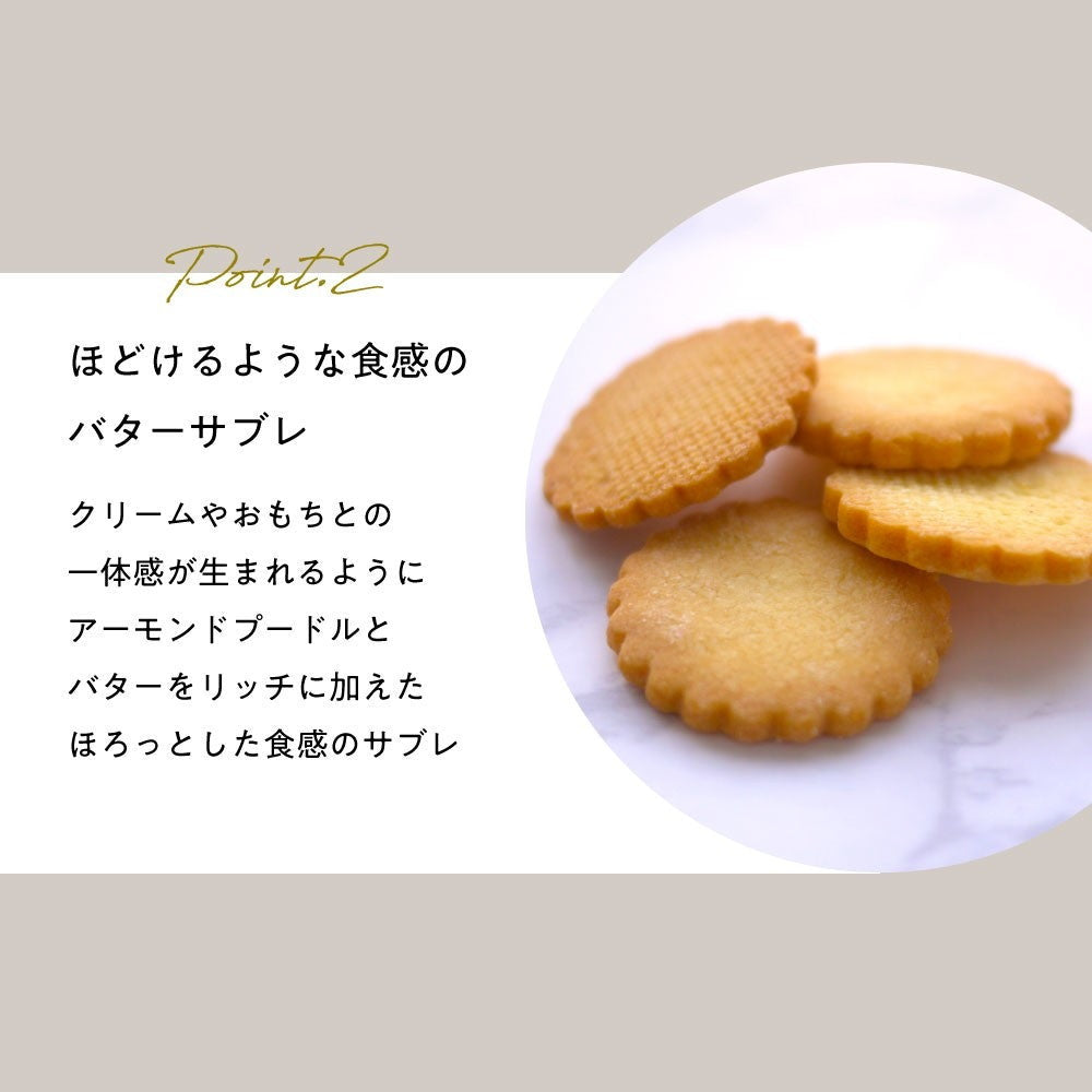 MOTCH サンドもっち5個ボックス　eギフト