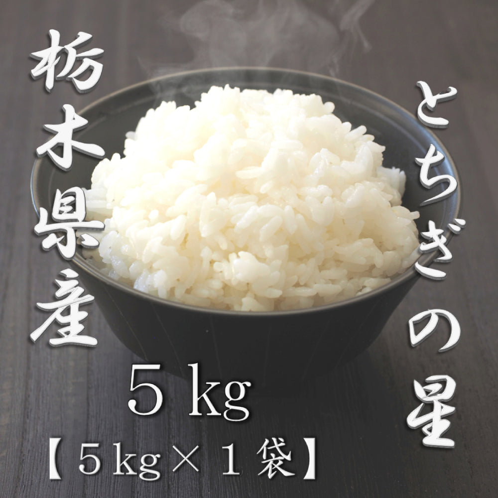 栃木県産とちぎの星 5kg　eギフト