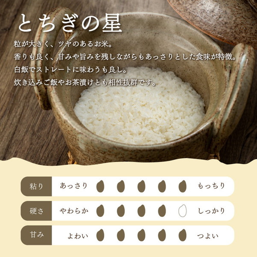 栃木県産とちぎの星 5kg　eギフト