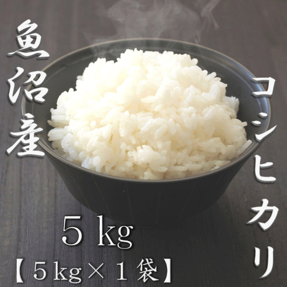 新潟県魚沼産コシヒカリ 5kg　eギフト