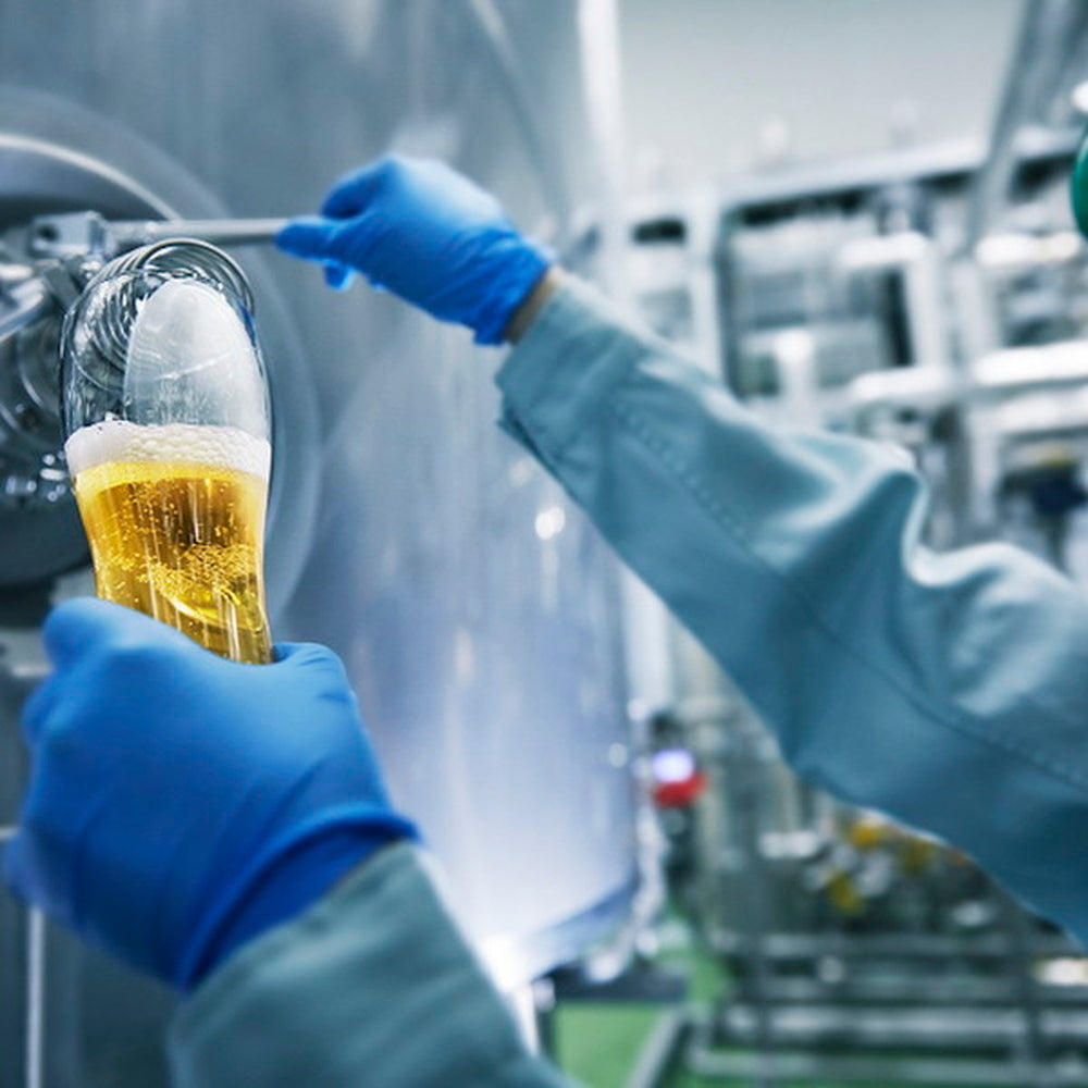 FUJI PREMIUM BREWING　 ラガー・ホワイト飲み比べセット(2本)　eギフト