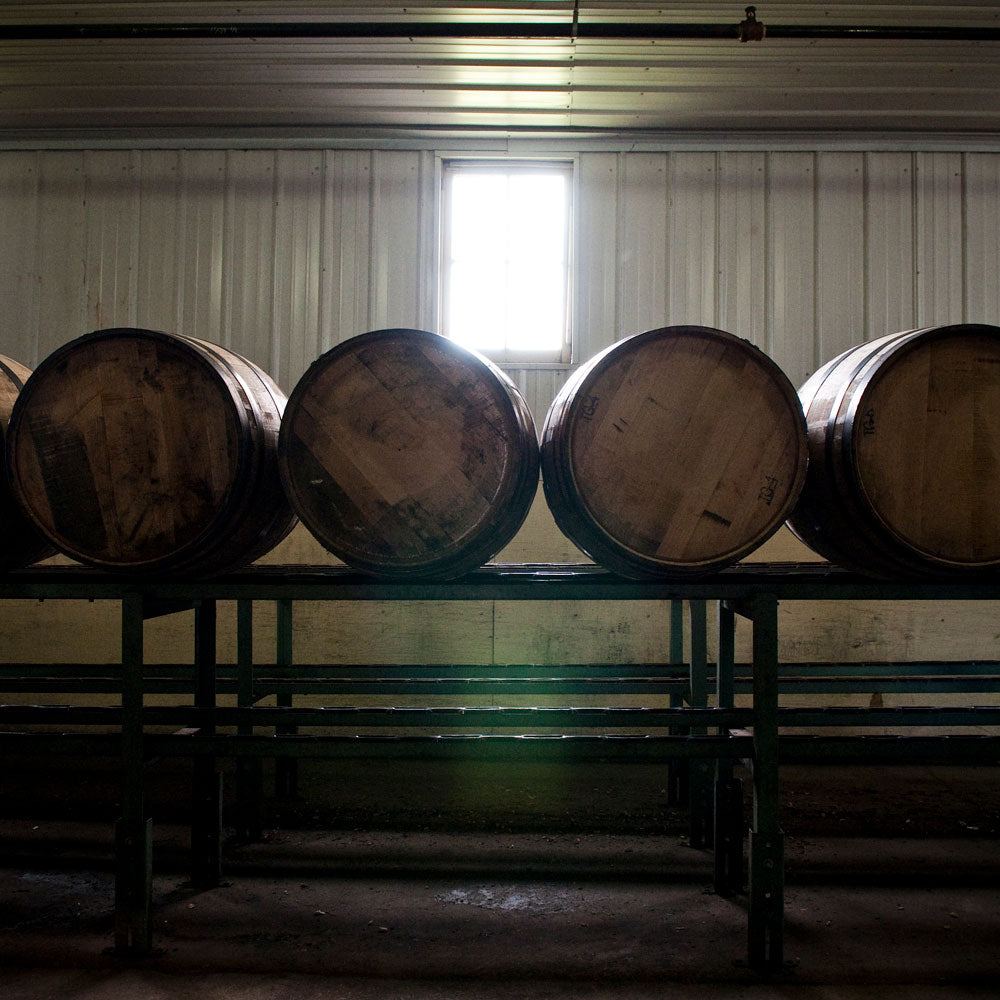 WILD TURKEY(ワイルドターキー)８年(1本)　eギフト