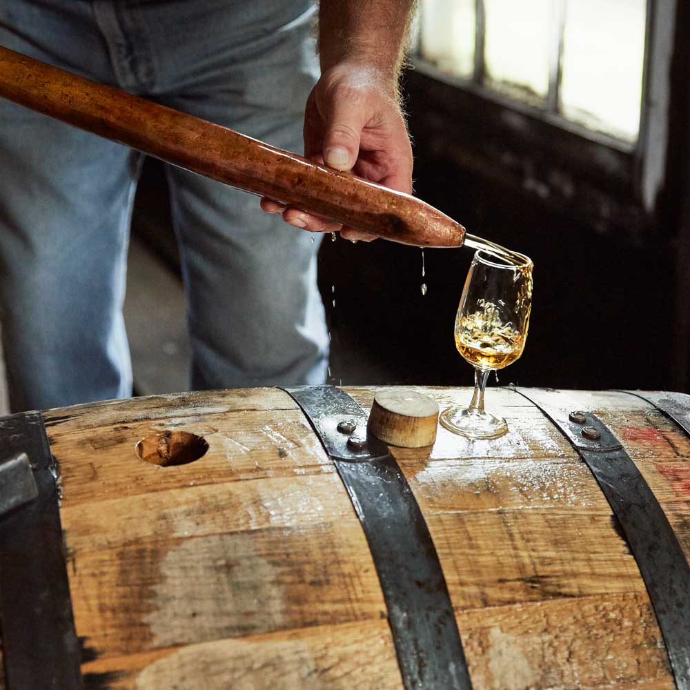 WILD TURKEY(ワイルドターキー)８年(12本)　eギフト
